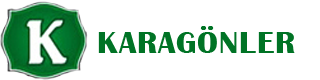 Firma 3 Logosu