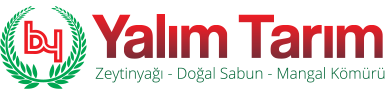 Firma 12 Logosu